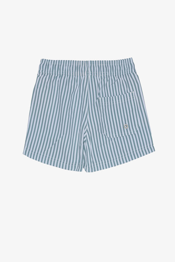 Beach Scout Drawstring Swim Shorts-Green Stripe