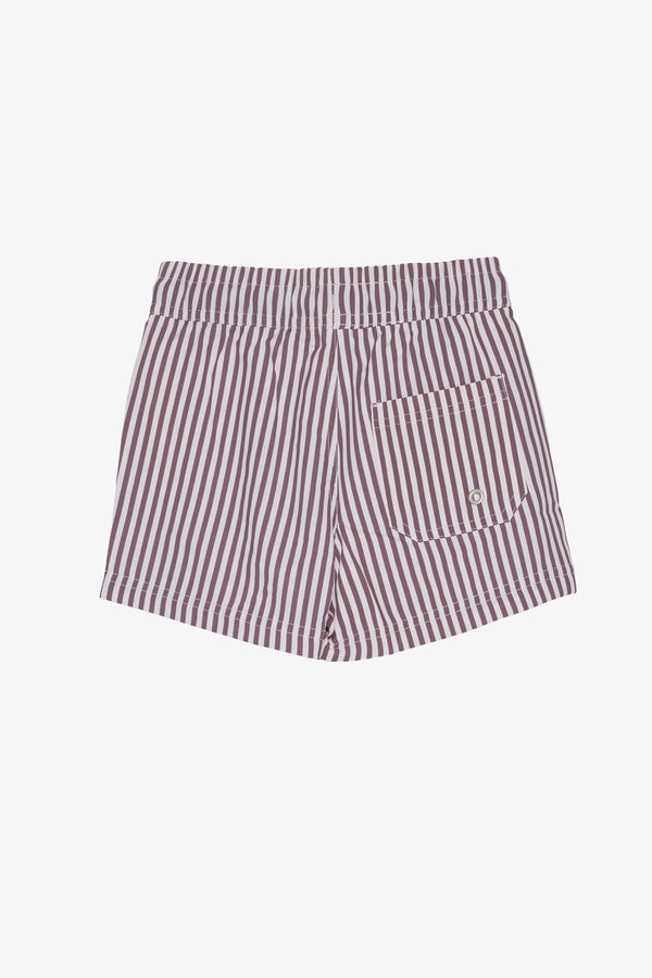 Beach Scout Drawstring Swim Shorts-Brown Stripe
